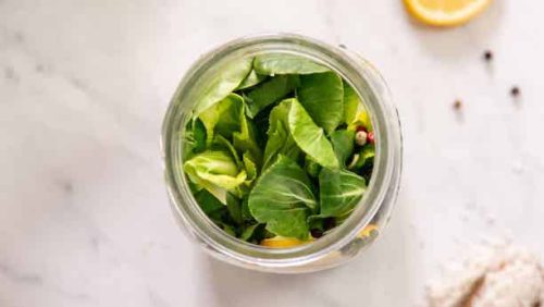 Fermented Choy Sum