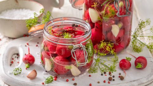 Fermented Radish